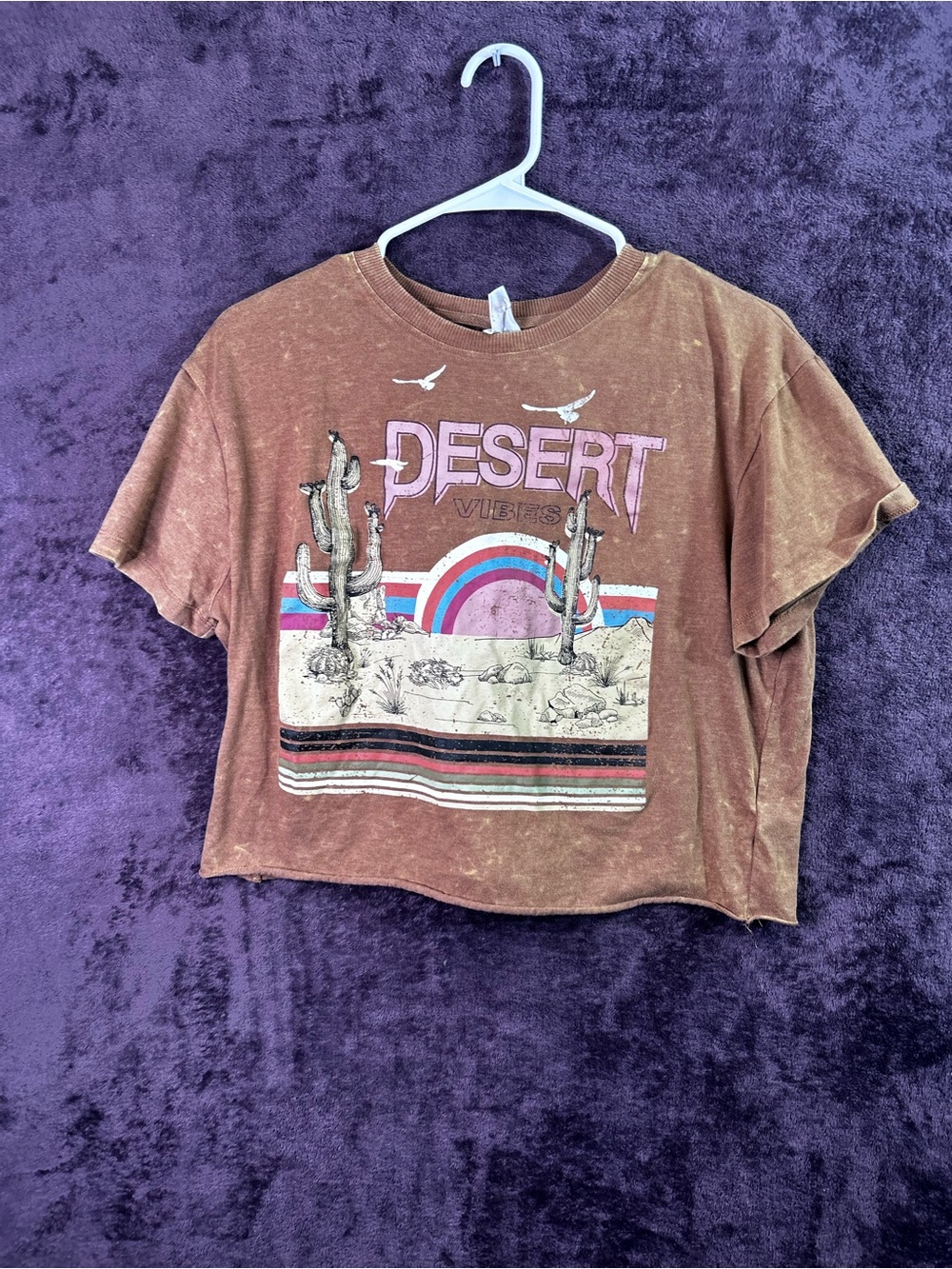 No Boundaries Brown Desert Vibes Graphic Crop Tee